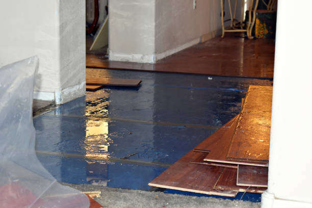 Professional Water Damage Restoration technician working in Dawson, MN